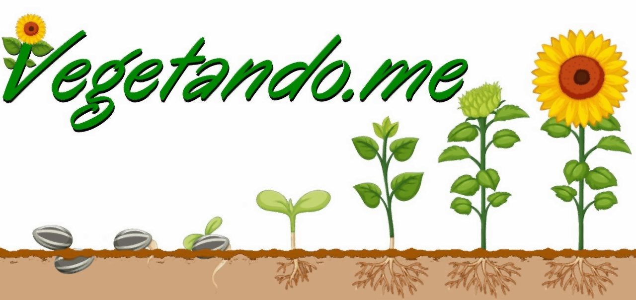 Vegetando.me